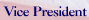 Vice President Halliburton